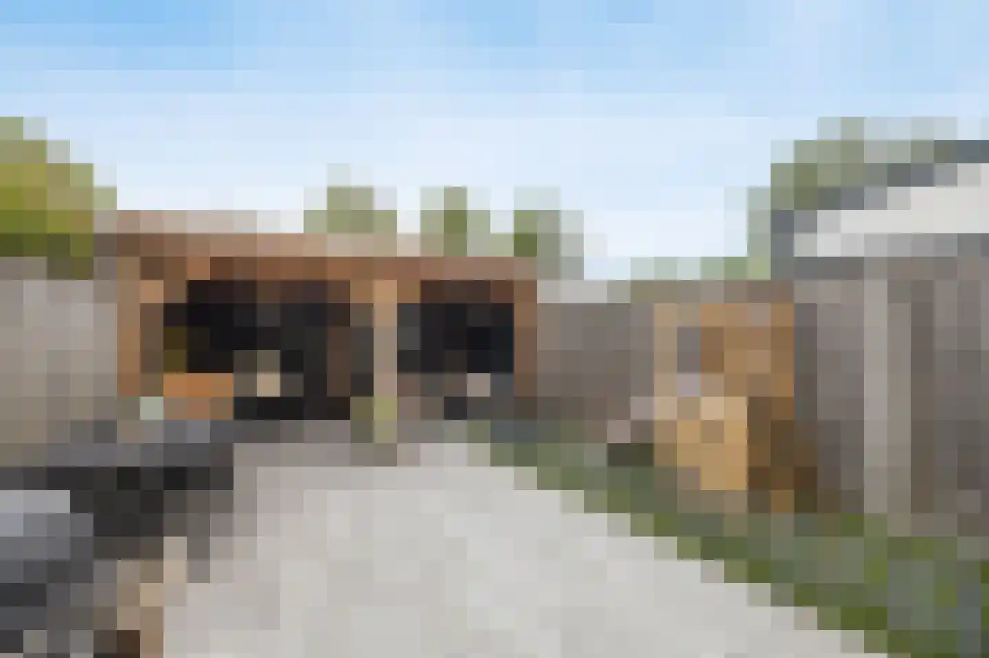 Beiaard 150 Etten-Leur thumbnail 38