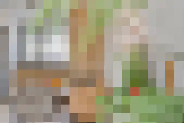 Beiaard 151 Etten-Leur thumbnail 13