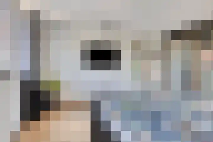 Beiaard 151 Etten-Leur thumbnail 17