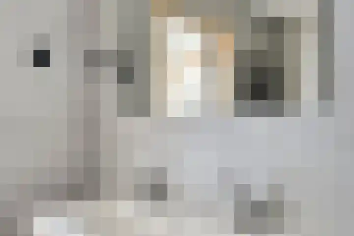 Beiaard 151 Etten-Leur thumbnail 20