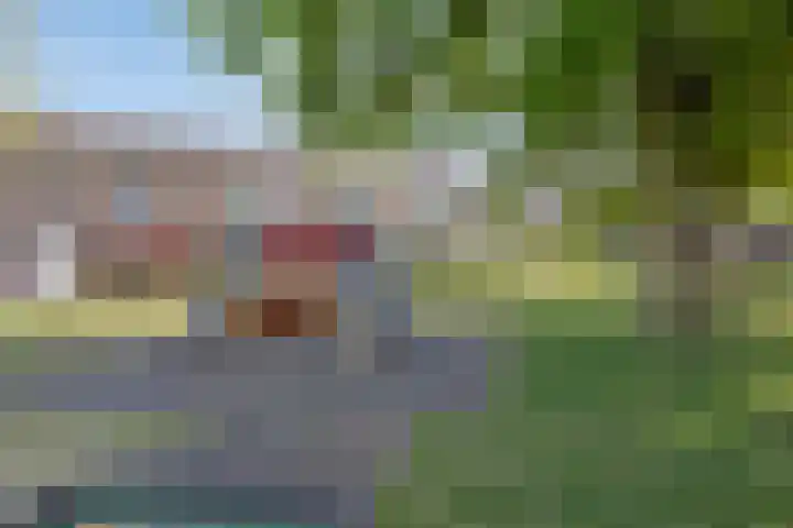 Beiaard 151 Etten-Leur thumbnail 33