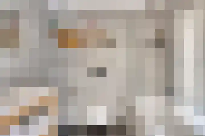 Beiaard 151 Etten-Leur thumbnail 4