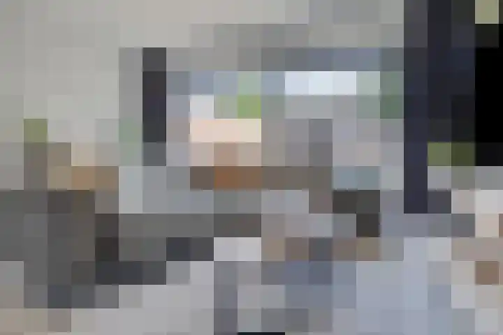 Beiaard 151 Etten-Leur thumbnail 8
