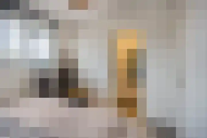 Beiaard 171 Etten-Leur thumbnail 16