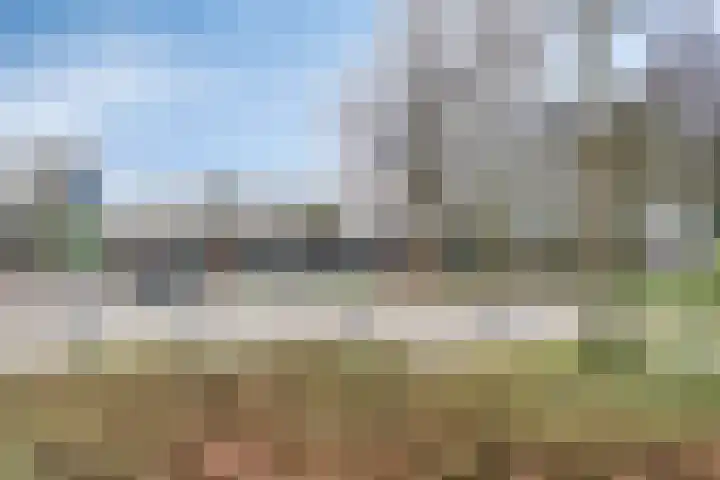 Beiaard 171 Etten-Leur thumbnail 30