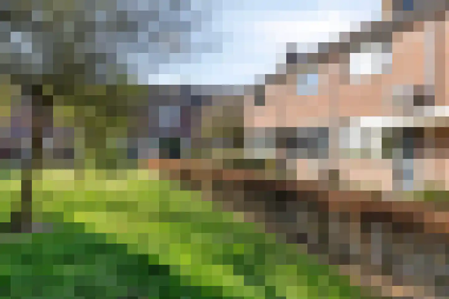 Beiaard 173 Etten-Leur thumbnail 10