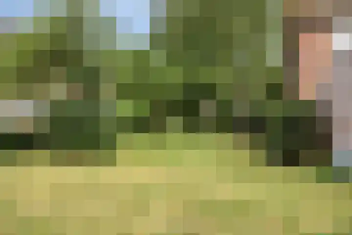 Beiaard 179 Etten-Leur thumbnail 31