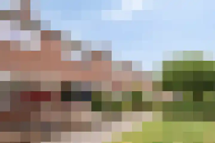 Beiaard 179 Etten-Leur thumbnail 33