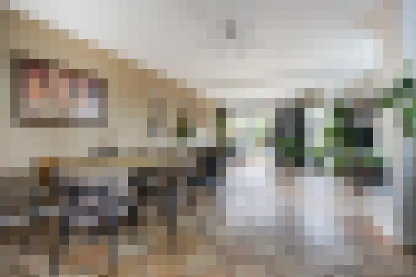 Beiaard 24 Etten-Leur thumbnail 7
