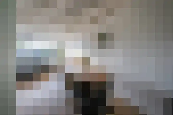Beiaard 272 Etten-Leur thumbnail 11