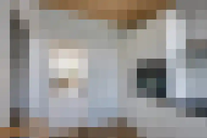 Beiaard 272 Etten-Leur thumbnail 14