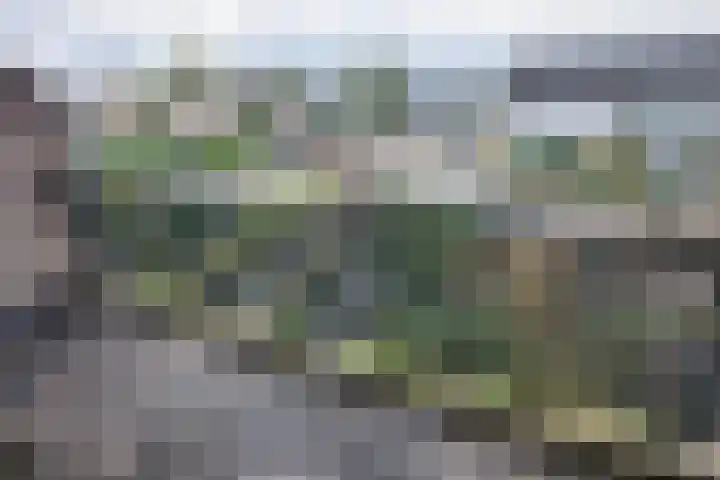 Beiaard 272 Etten-Leur thumbnail 18