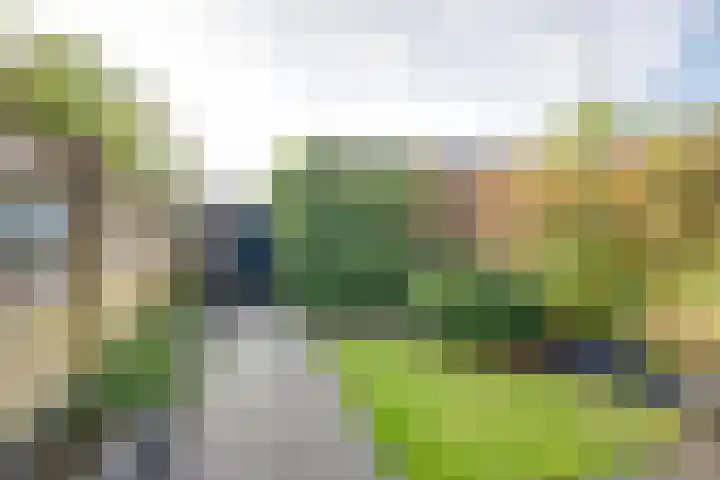 Beiaard 272 Etten-Leur thumbnail 32