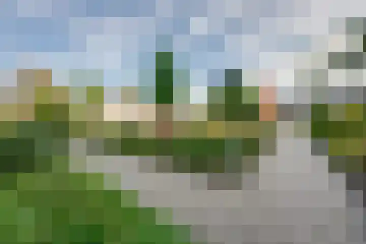 Beiaard 272 Etten-Leur thumbnail 35