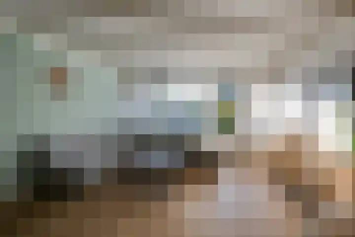 Beiaard 272 Etten-Leur thumbnail 8