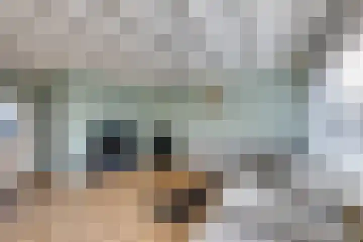 Beiaard 272 Etten-Leur thumbnail 9