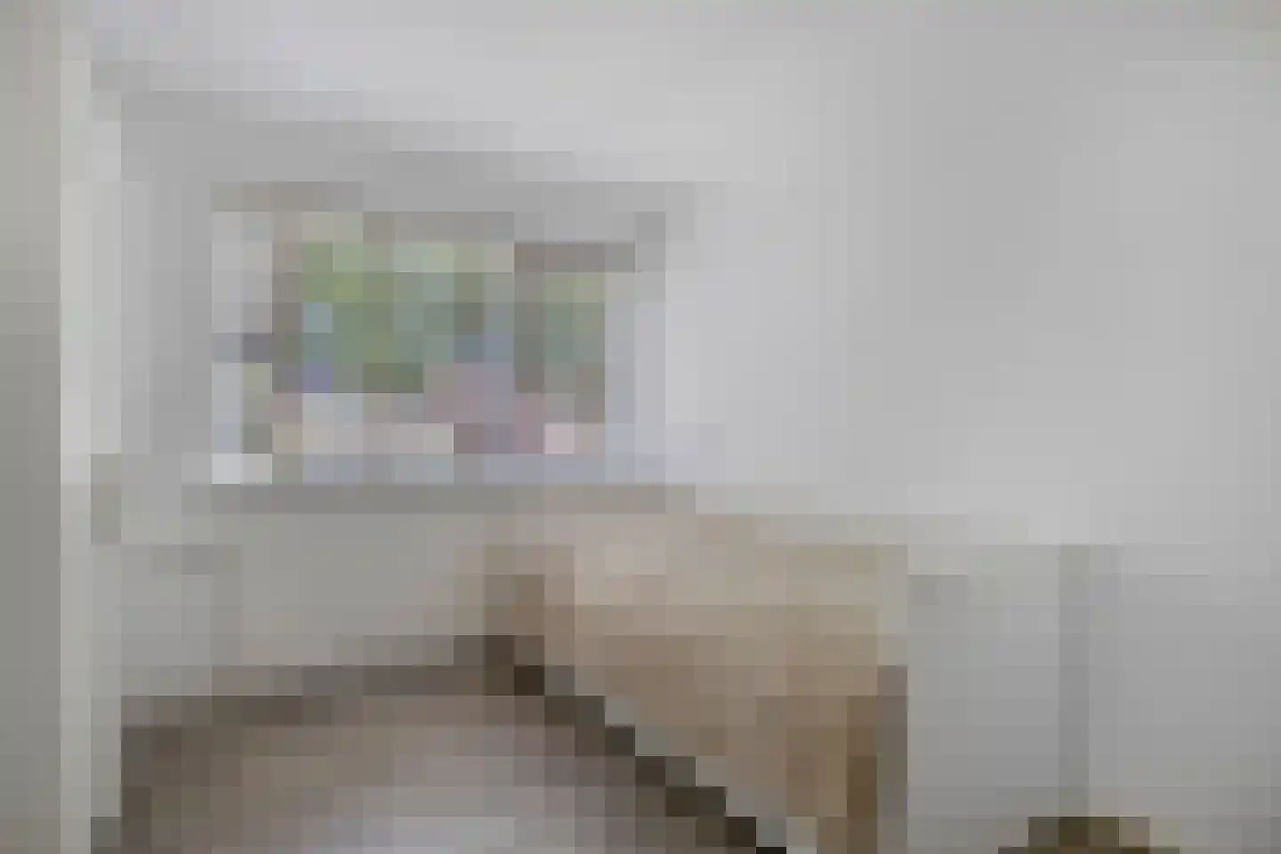 Beiaard 363 Etten-Leur thumbnail 20