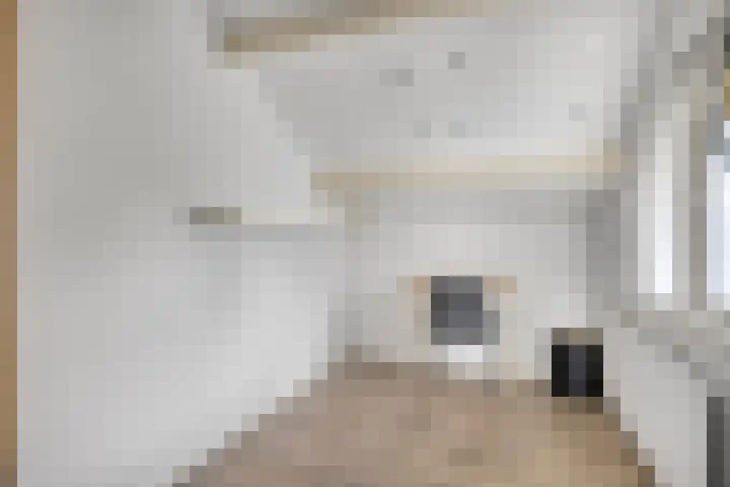 Beiaard 363 Etten-Leur thumbnail 22