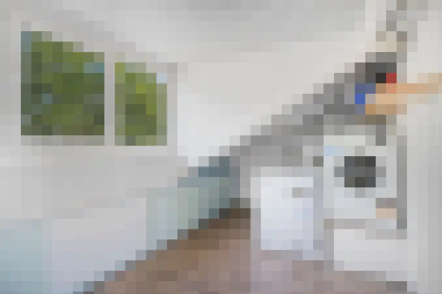 Beiaard 363 Etten-Leur thumbnail 26
