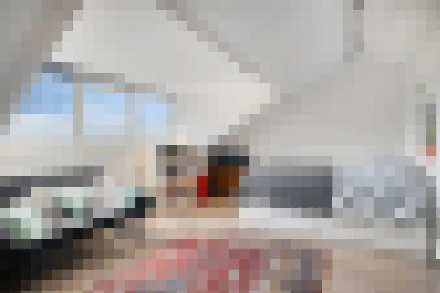 Beiaard 363 Etten-Leur thumbnail 28