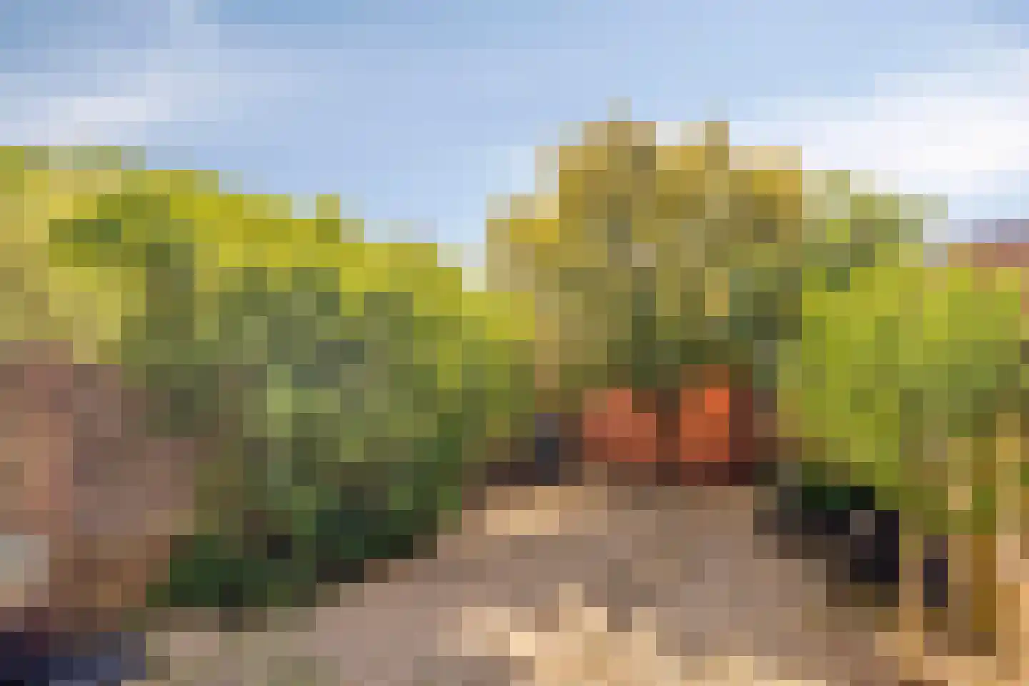 Beiaard 363 Etten-Leur thumbnail 34