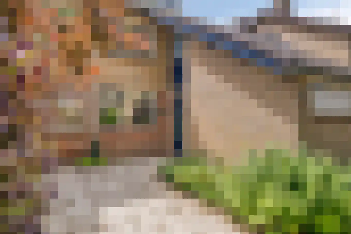 Beiaard 363 Etten-Leur thumbnail 5