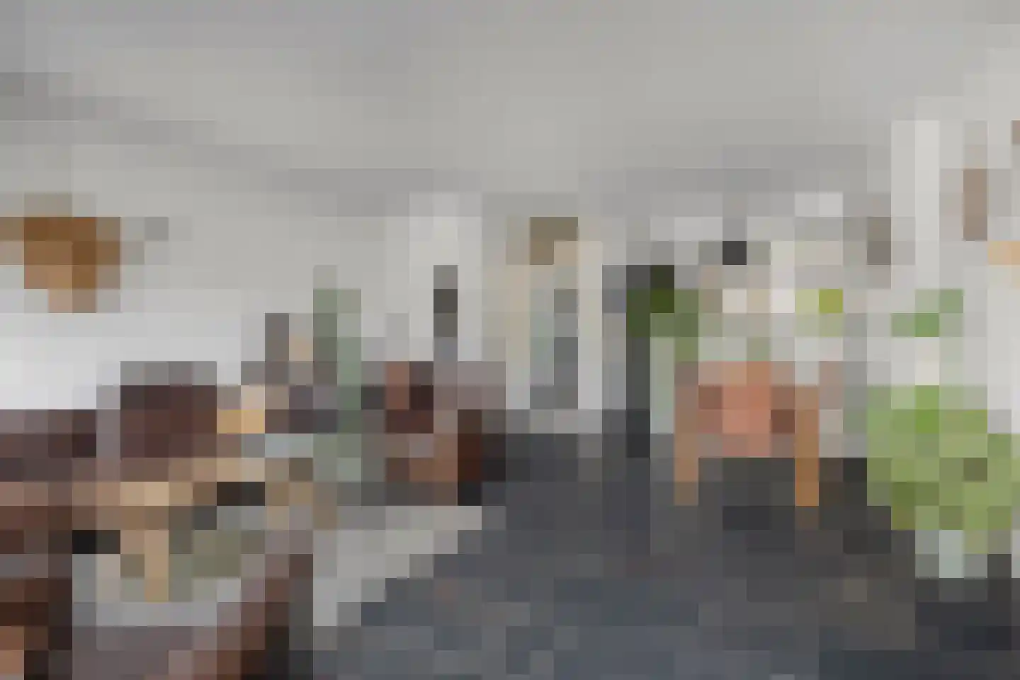 Beiaard 363 Etten-Leur thumbnail 9