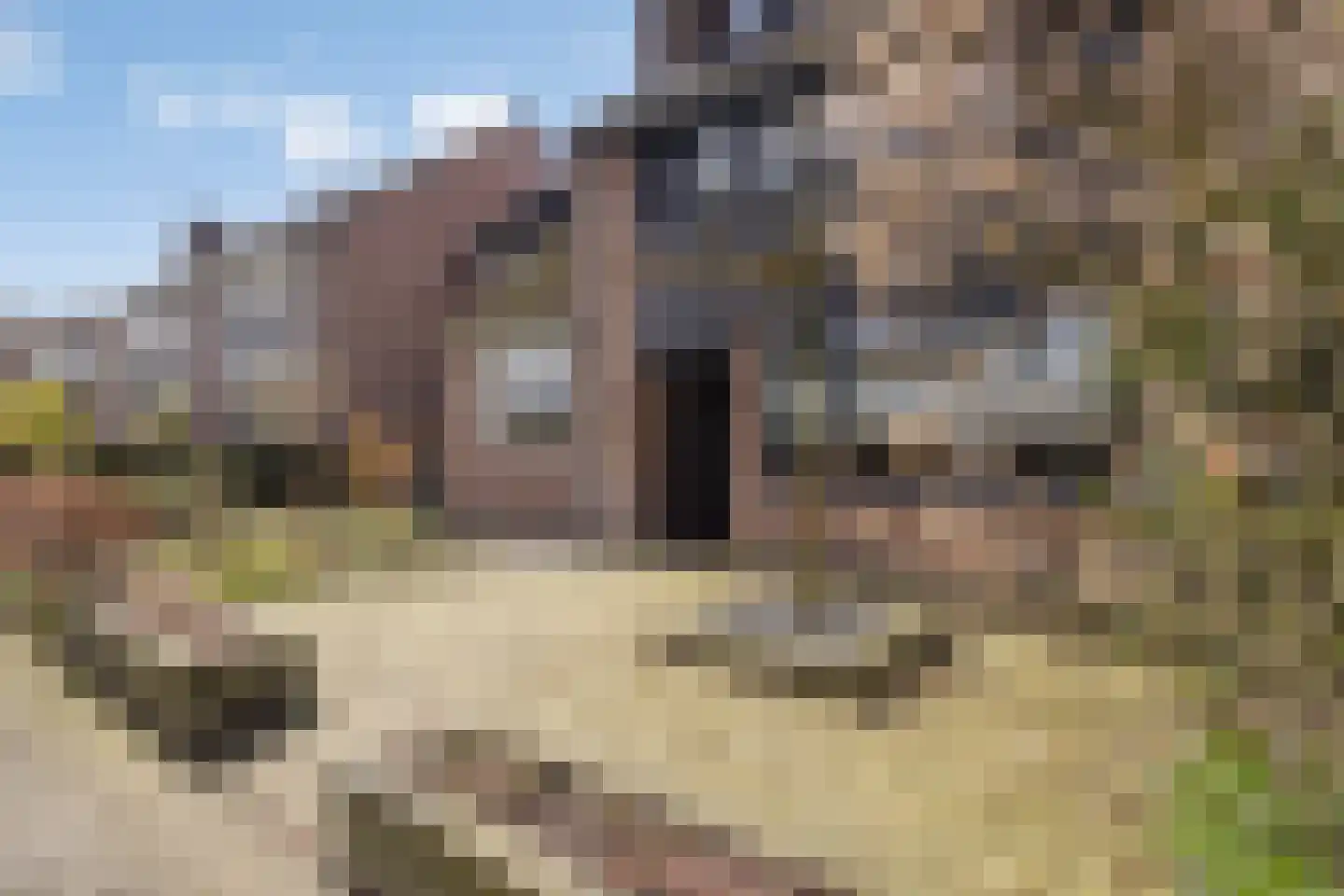 Beiaard 405 Etten-Leur thumbnail 37