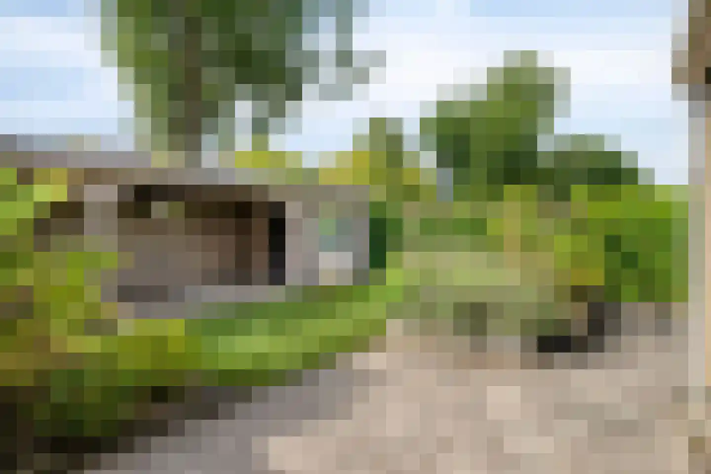 Beiaard 74 Etten-Leur thumbnail 36
