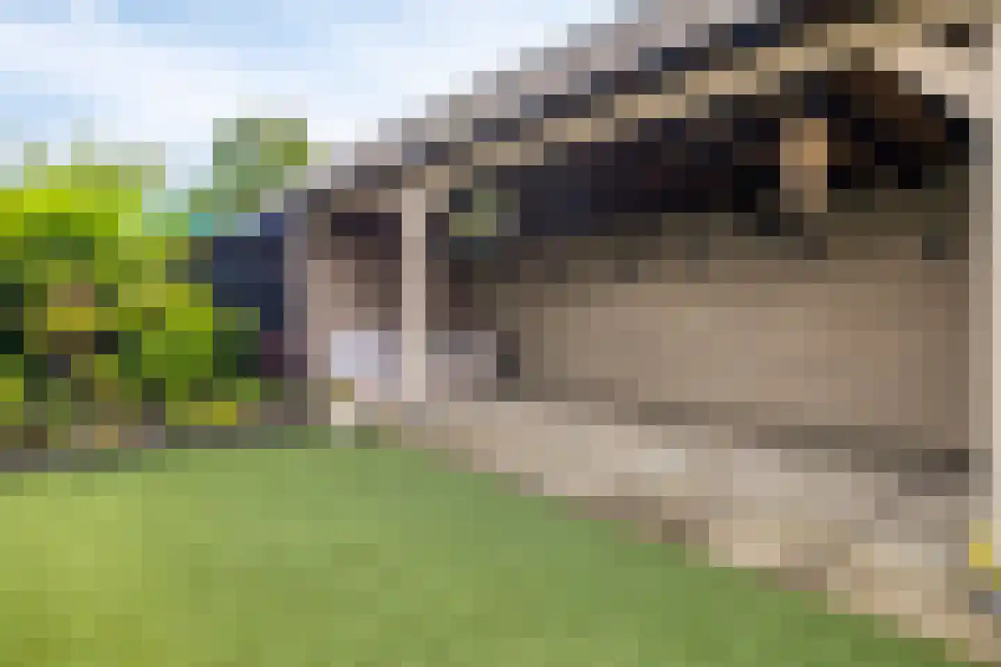 Beiaard 74 Etten-Leur thumbnail 38