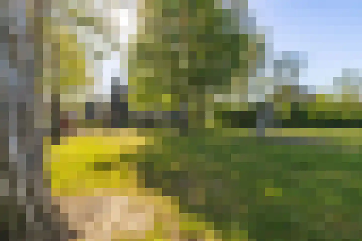 Beiaard 79 Etten-Leur thumbnail 46