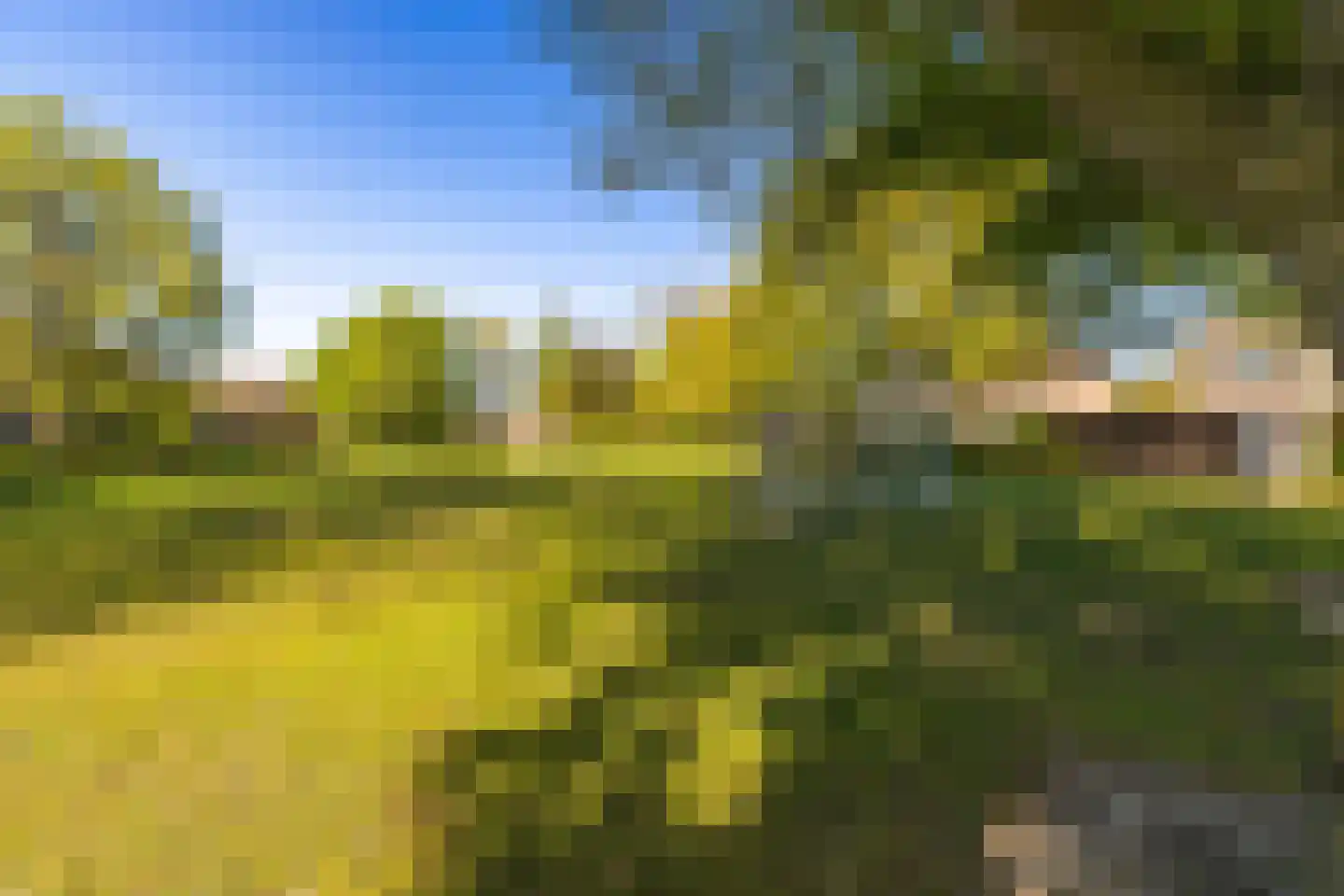 Beiaard 79 Etten-Leur thumbnail 49