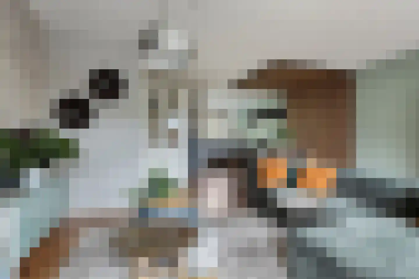 Beiaardierlaan 17 's-Gravenzande thumbnail 14