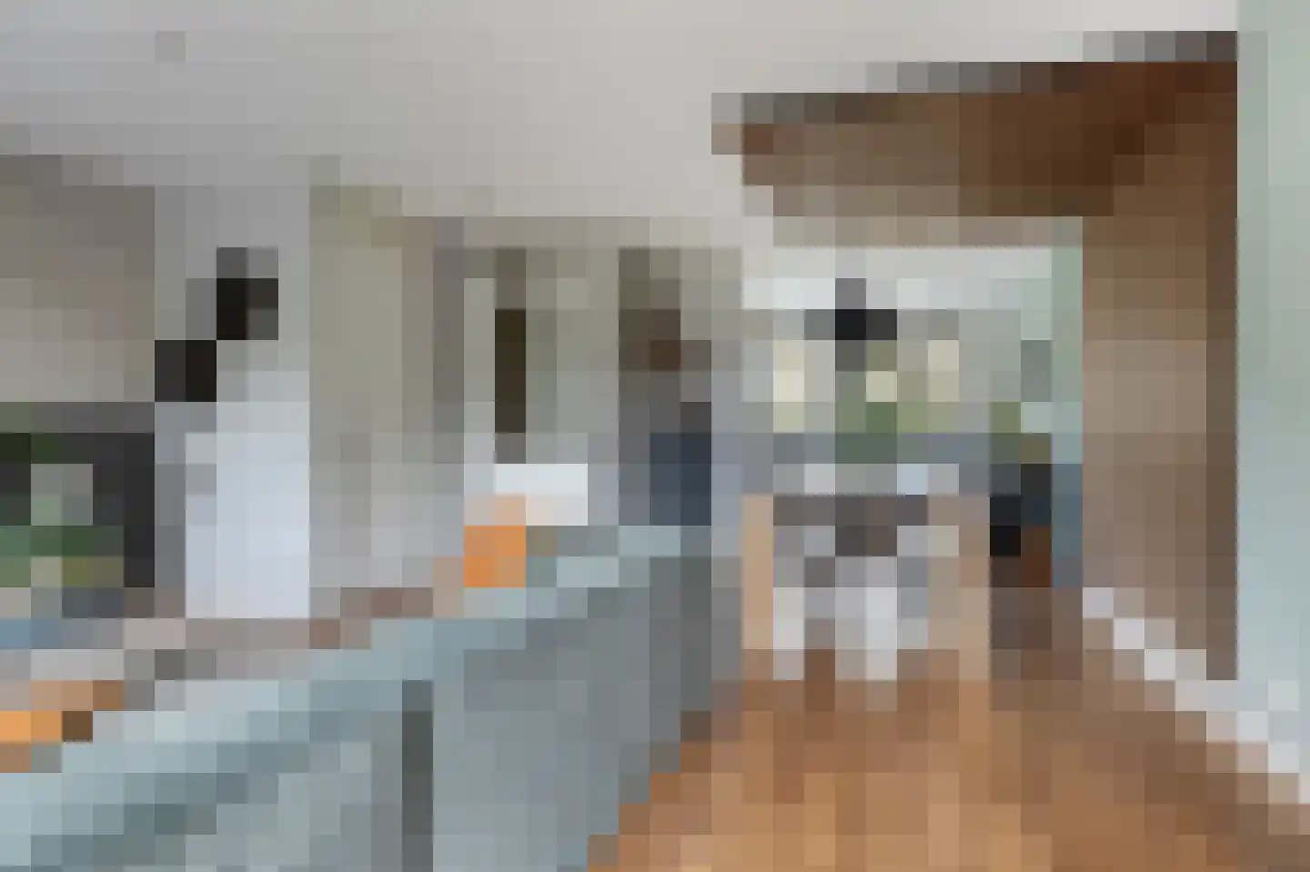 Beiaardierlaan 17 's-Gravenzande thumbnail 15