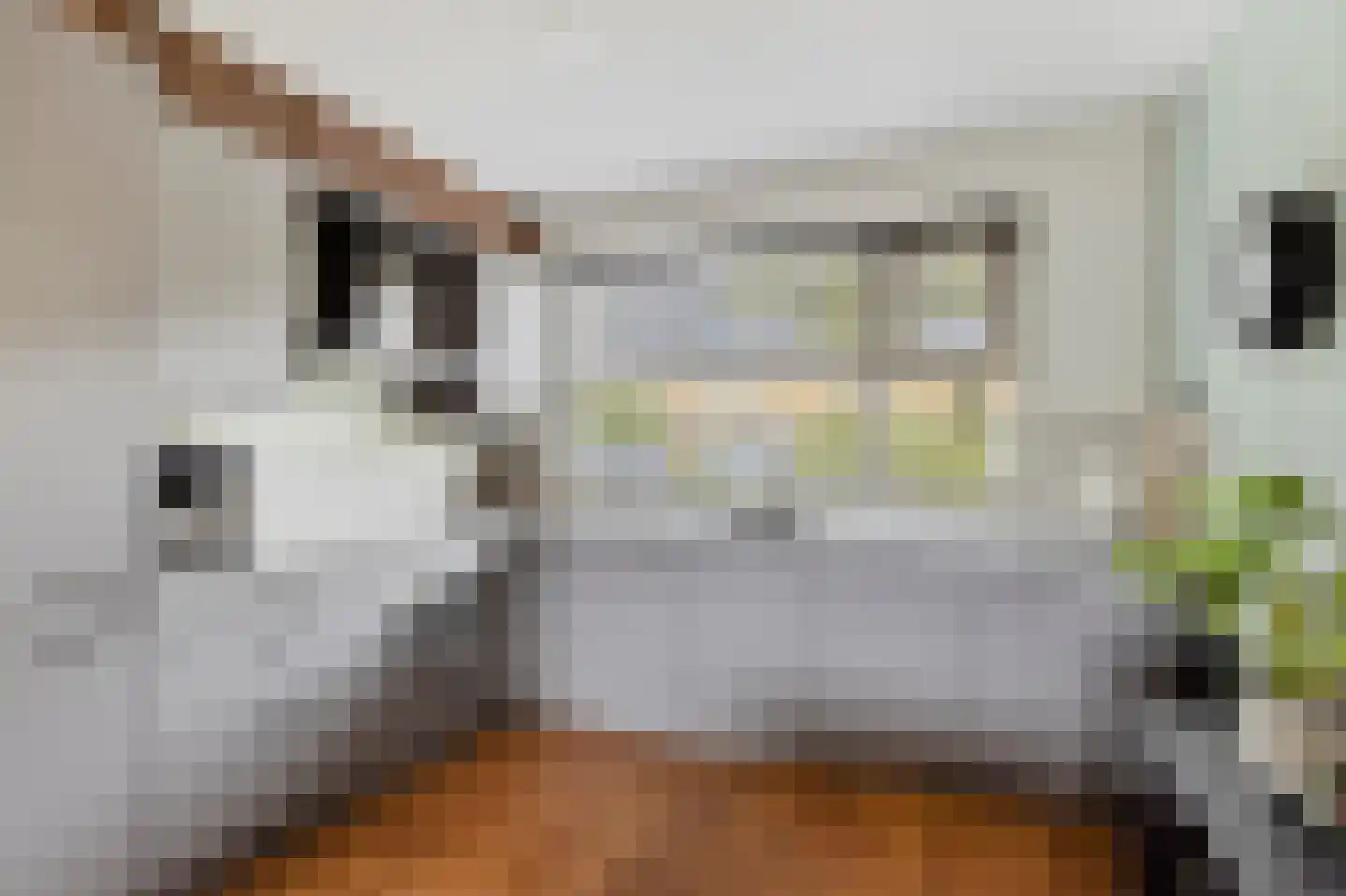 Beiaardierlaan 17 's-Gravenzande thumbnail 17