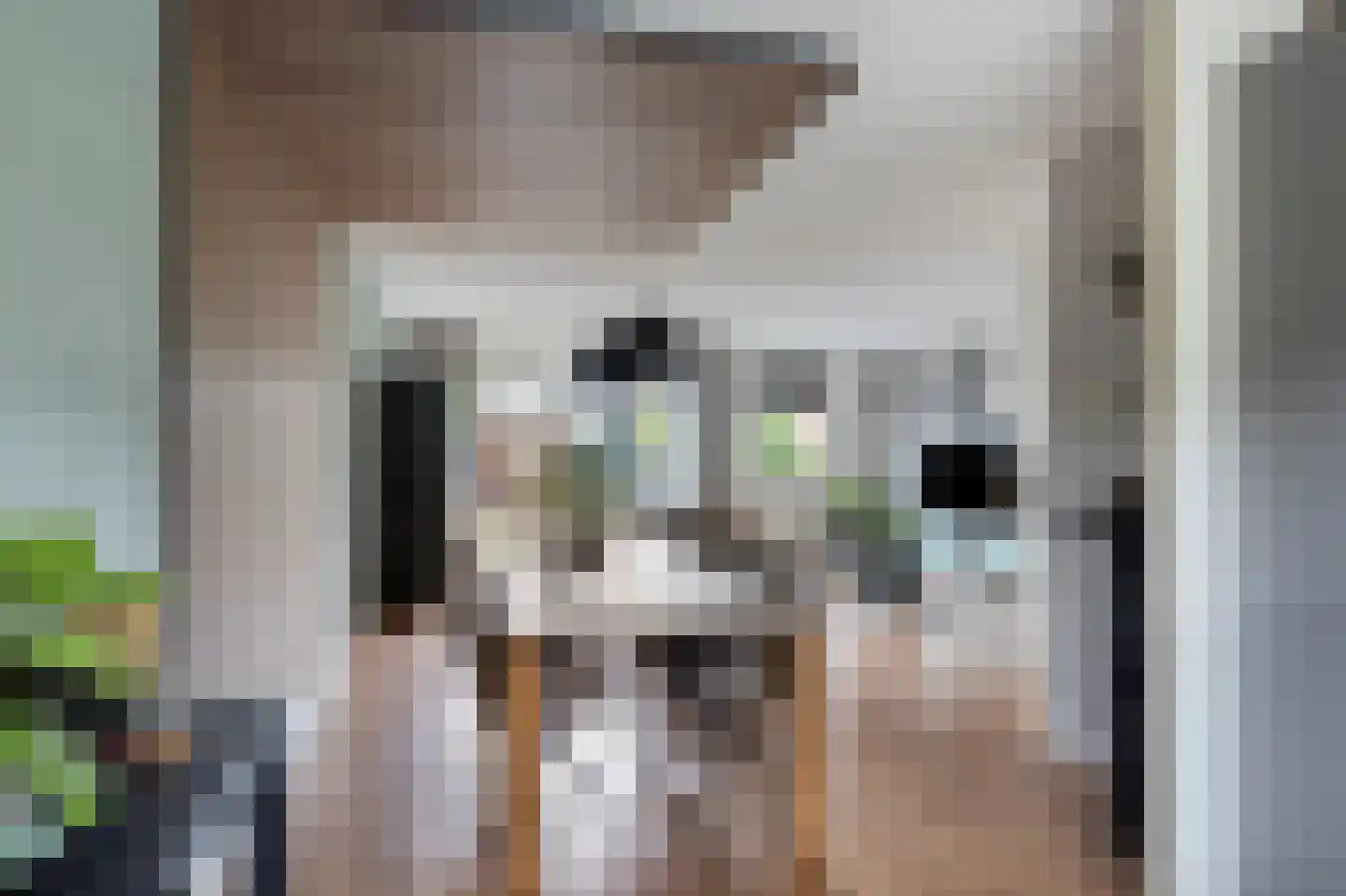 Beiaardierlaan 17 's-Gravenzande thumbnail 18