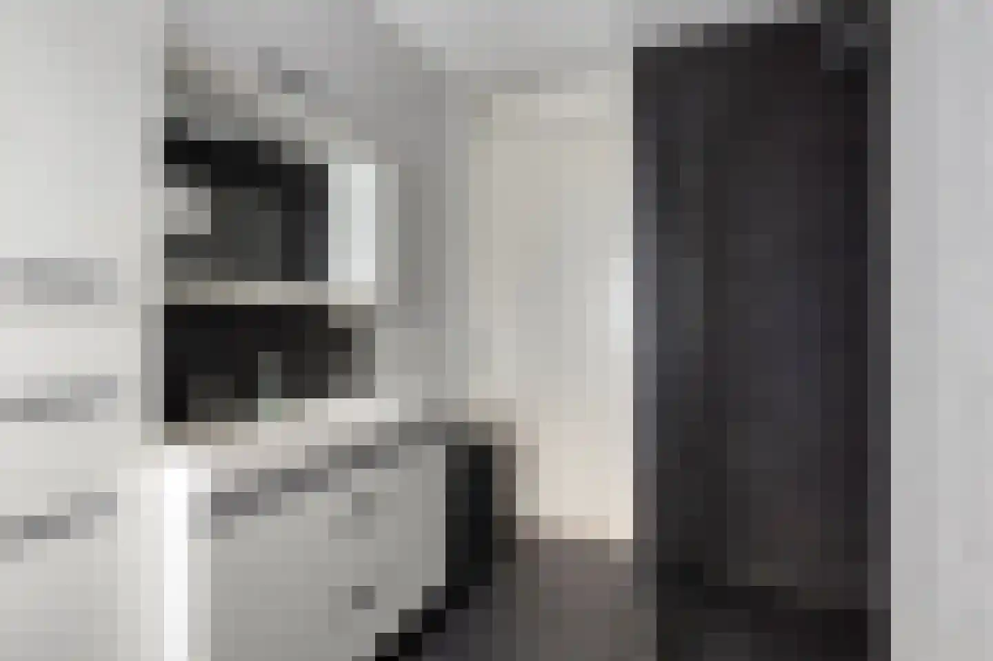 Beiaardierlaan 17 's-Gravenzande thumbnail 25