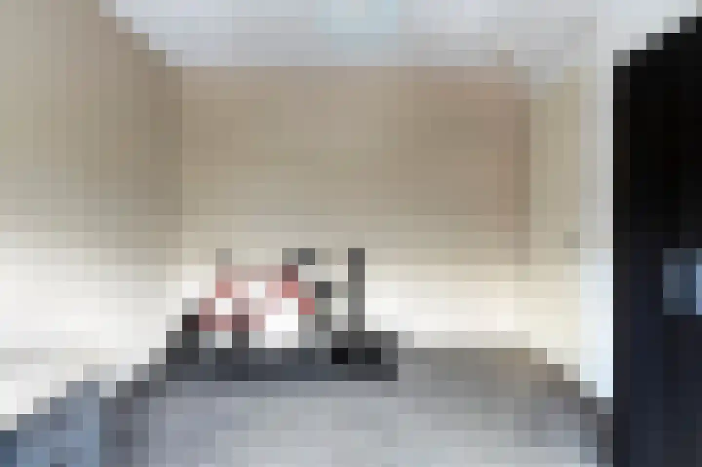 Beiaardierlaan 17 's-Gravenzande thumbnail 29