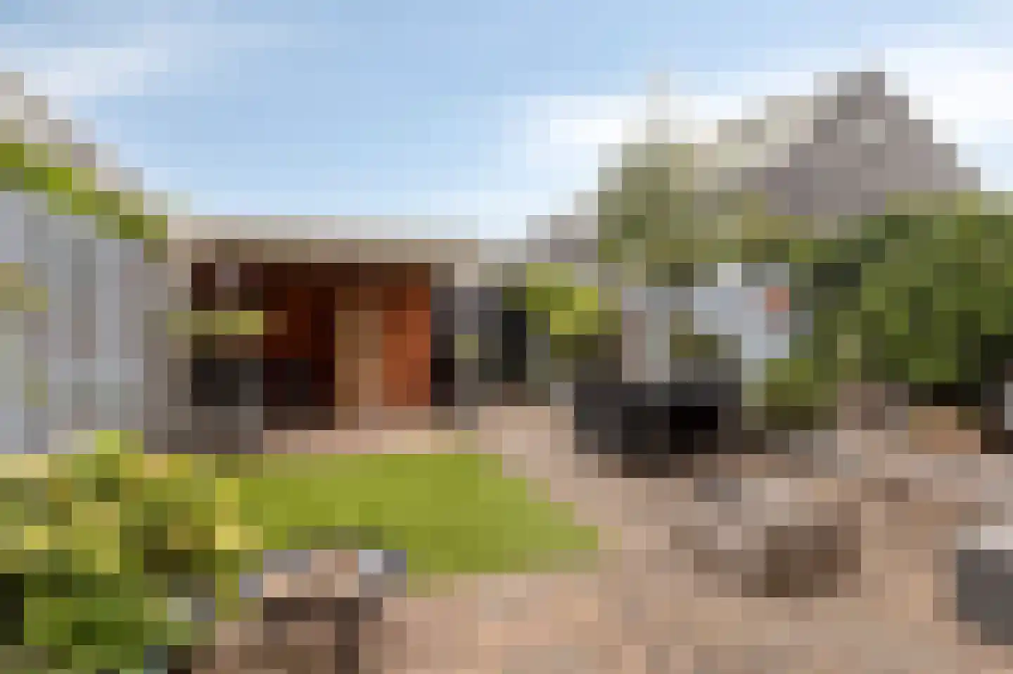 Beiaardierlaan 17 's-Gravenzande thumbnail 36