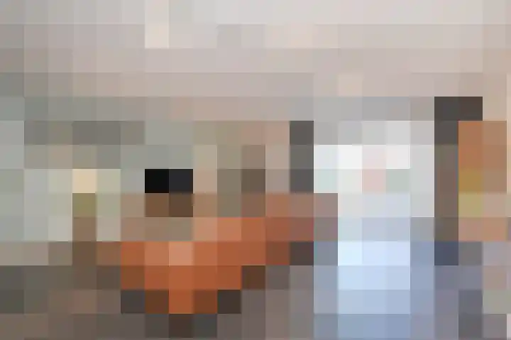 Beiaardierlaan 5 's-Gravenzande thumbnail 15