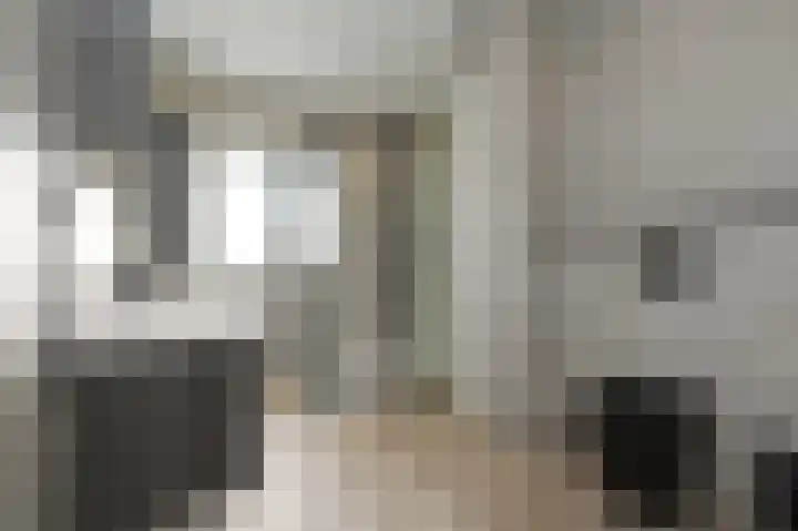 Beiaardierlaan 5 's-Gravenzande thumbnail 24