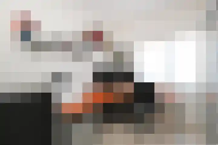 Beiaardierlaan 5 's-Gravenzande thumbnail 32