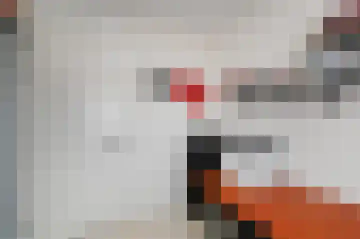Beiaardierlaan 5 's-Gravenzande thumbnail 34