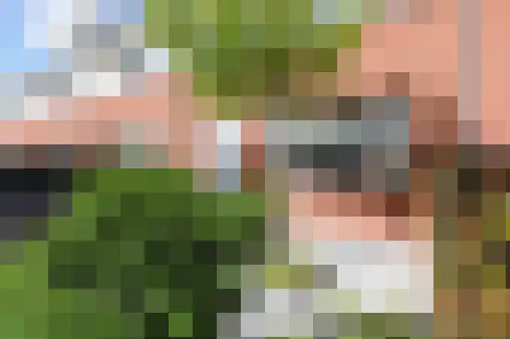 Beiaardierlaan 5 's-Gravenzande thumbnail 41