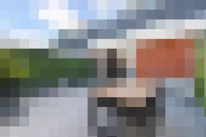Beiaardierlaan 5 's-Gravenzande thumbnail 47