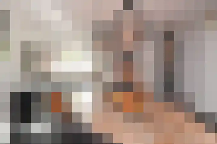 Beiaardierlaan 5 's-Gravenzande thumbnail 6