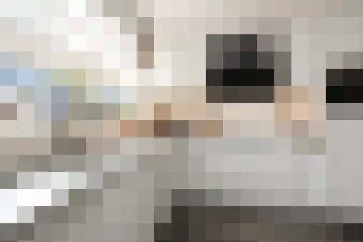 Beiaardierlaan 5 's-Gravenzande thumbnail 7