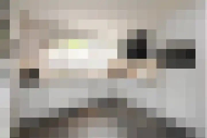 Beiaardierlaan 5 's-Gravenzande thumbnail 8