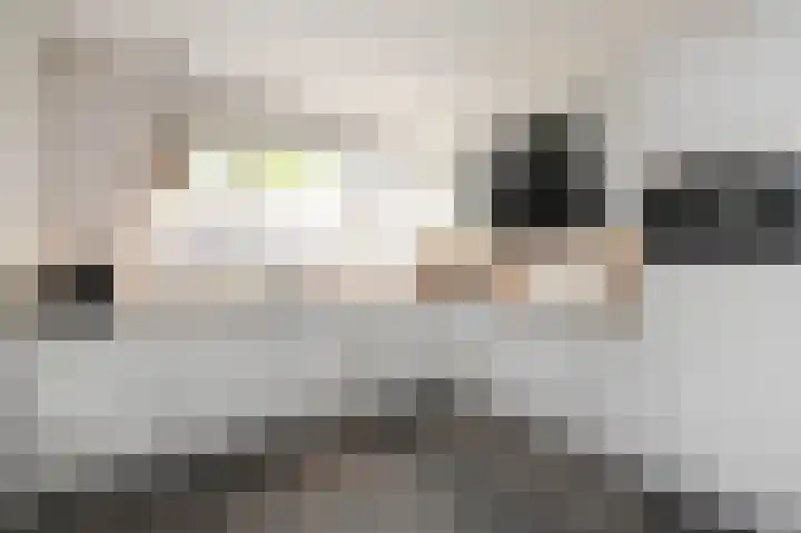 Beiaardierlaan 5 's-Gravenzande thumbnail 9