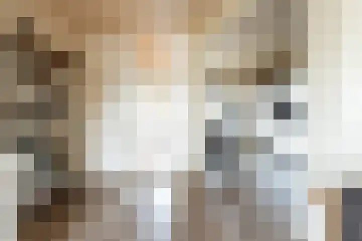 Beiaardiershoeve 1 Apeldoorn thumbnail 13